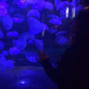 Meet your Posher, Alisha